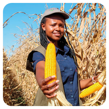 Wajoni Farming Agriculture Invest Investing nigeria agro agribusiness