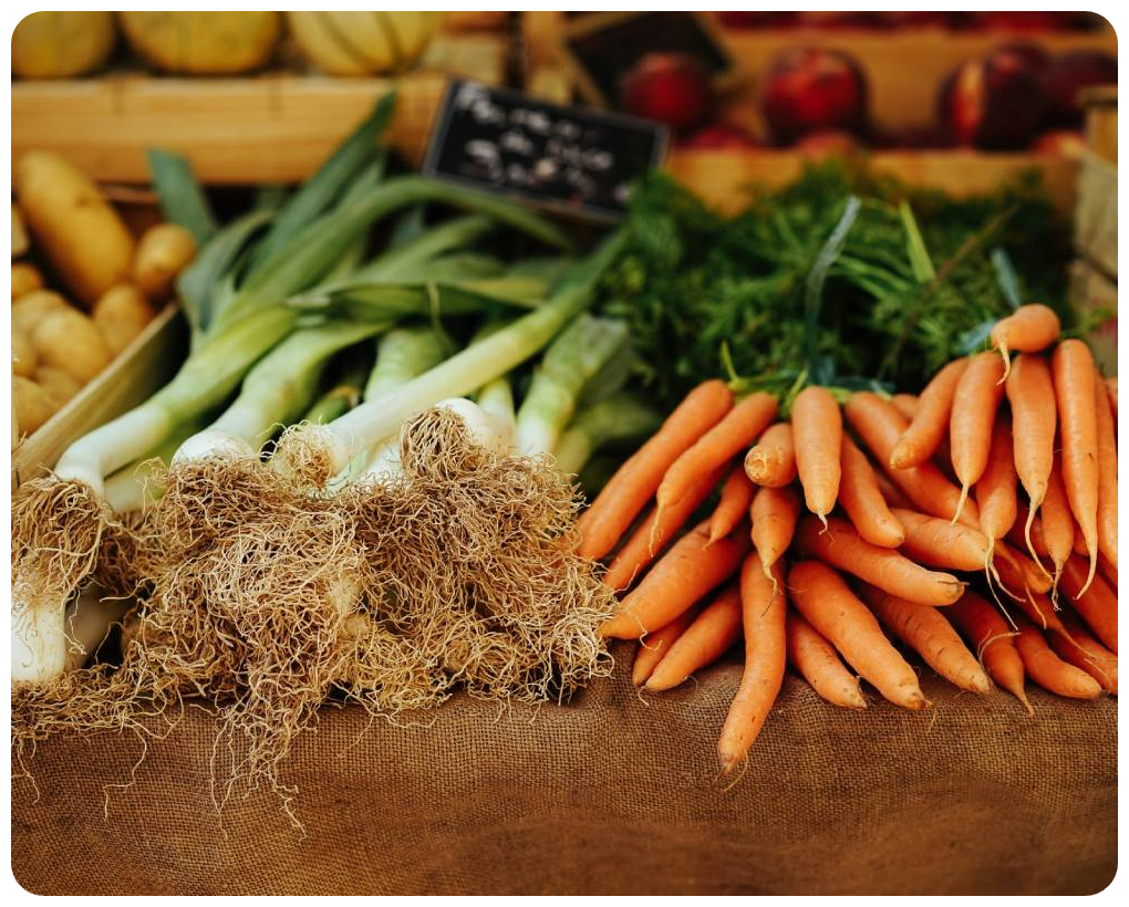 Wajoni Farming Agriculture Invest Investing