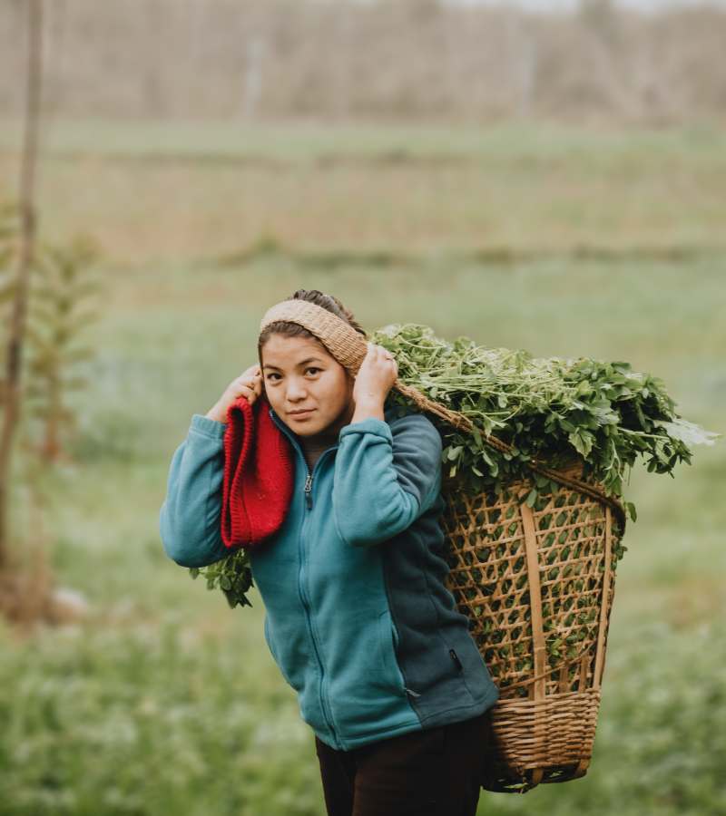 Wajoni Farming Agriculture Invest Investing nigeria agro agribusiness