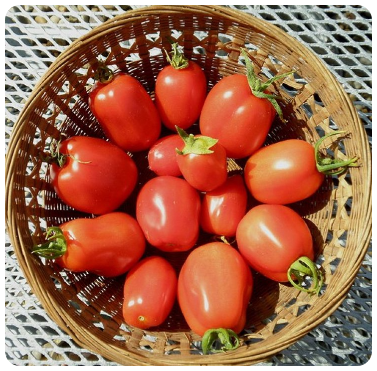 Wajoni Farming Agriculture Invest Investing nigeria agro agribusiness