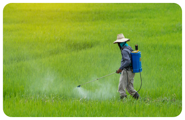 knapsack sprayer Wajoni Farming Agriculture Invest Investing nigeria agro agribusiness