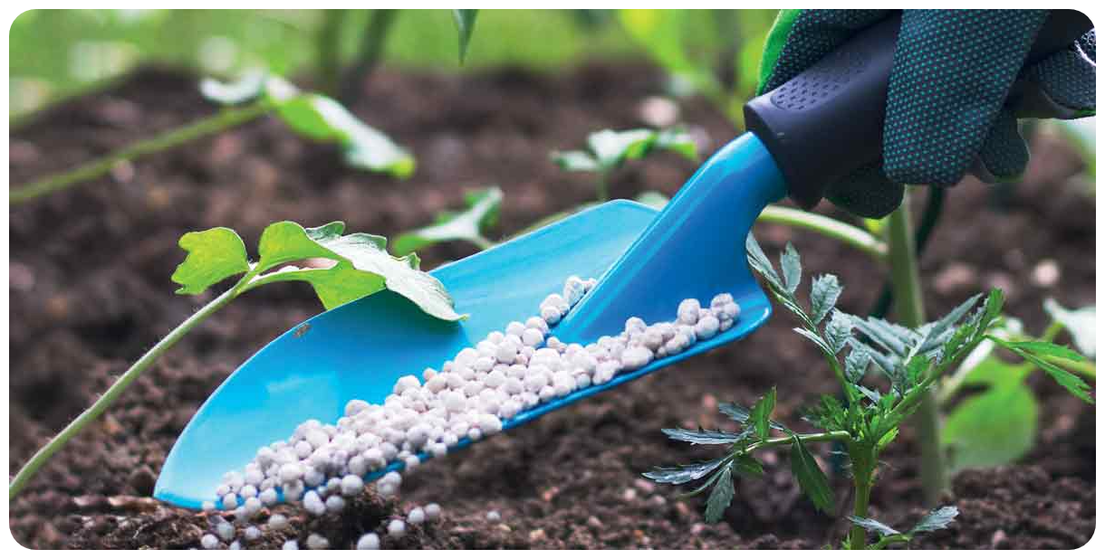 fertilizer applicator machine Wajoni Farming Agriculture Invest Investing nigeria agro agribusiness