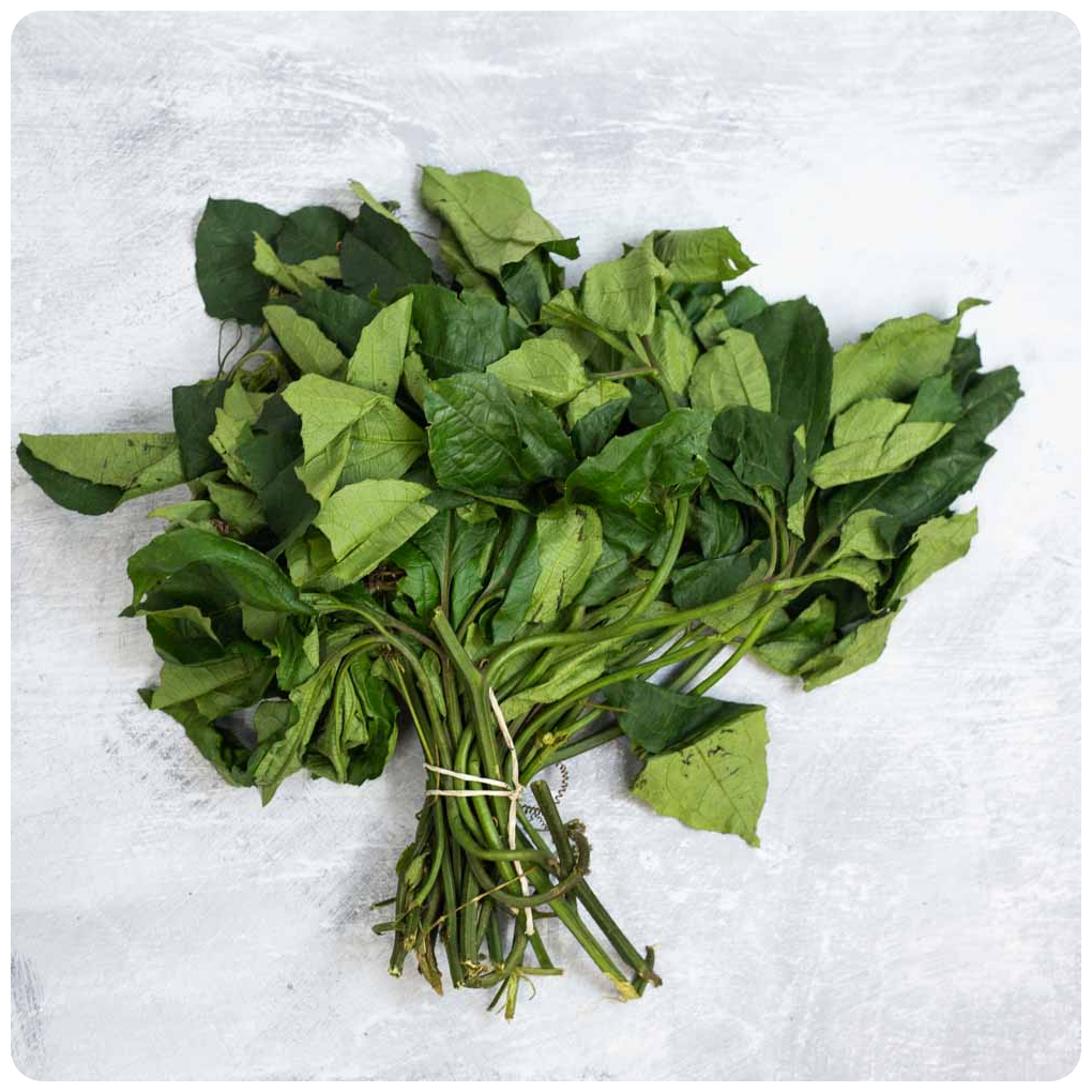 UGU LEAVE Wajoni Farming Agriculture Invest Investing nigeria agro agribusiness