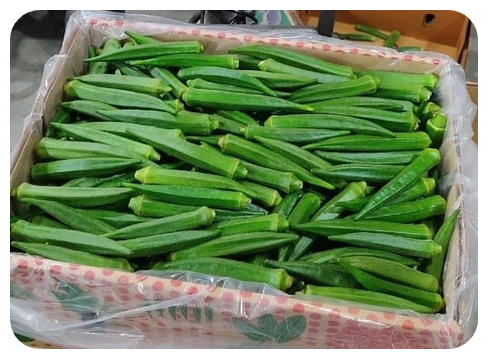 okro Wajoni Farming Agriculture Invest Investing nigeria agro agribusiness