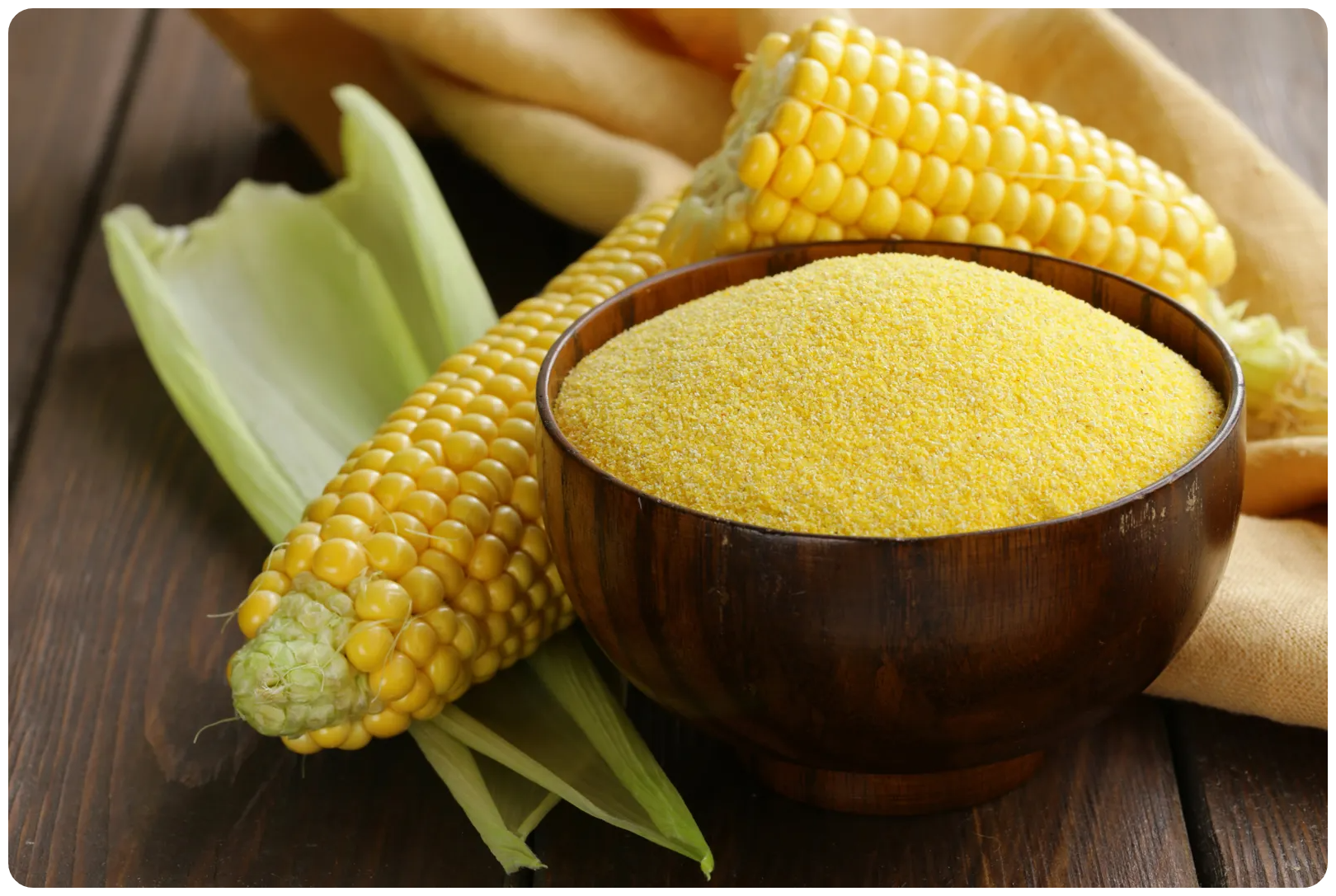maize corn garri Wajoni Farming Agriculture Invest Investing nigeria agro agribusiness