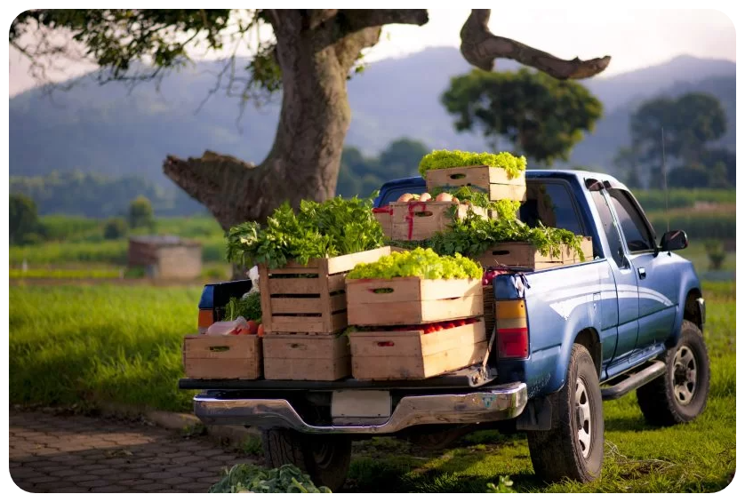 green african spinach plantain transportation supply Wajoni Farming Agriculture Invest Investing nigeria agro agribusiness