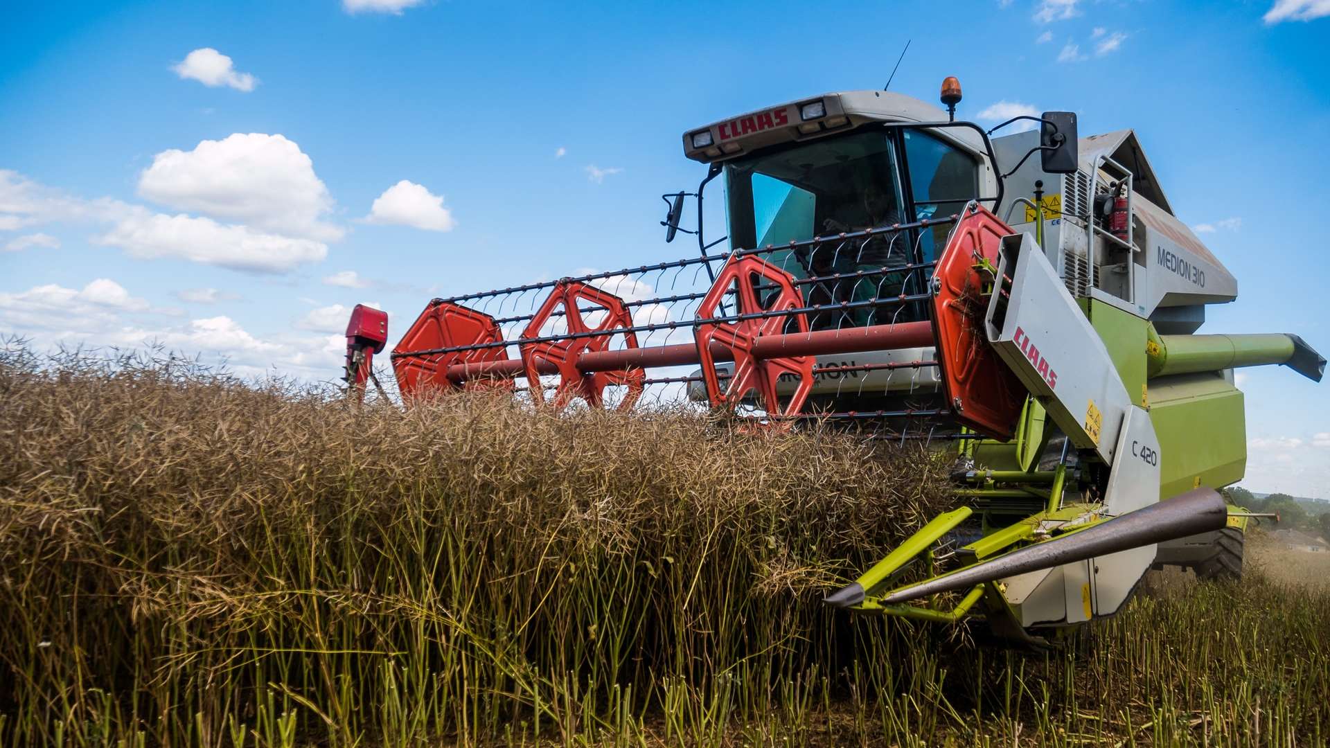 Wajoni Farming Agriculture Invest Investing nigeria agro agribusiness