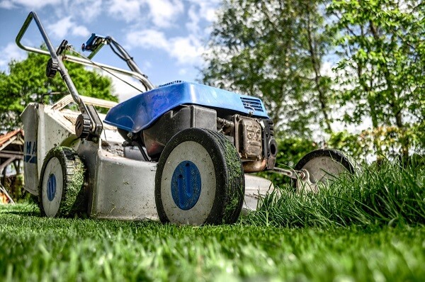 Wajoni Farming Agriculture Invest Investing nigeria agro agribusiness